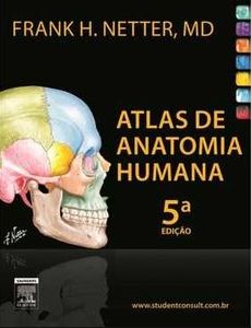 Pergamum - Acervo Online